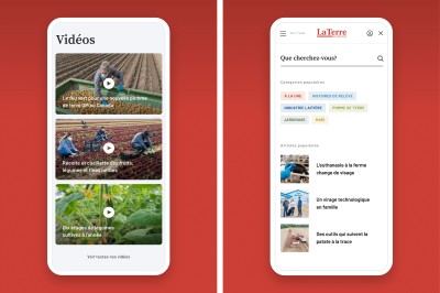 Montage présentant l'affichage mobile d'une section vidéos et la recherche développées pour La Terre de chez nous.