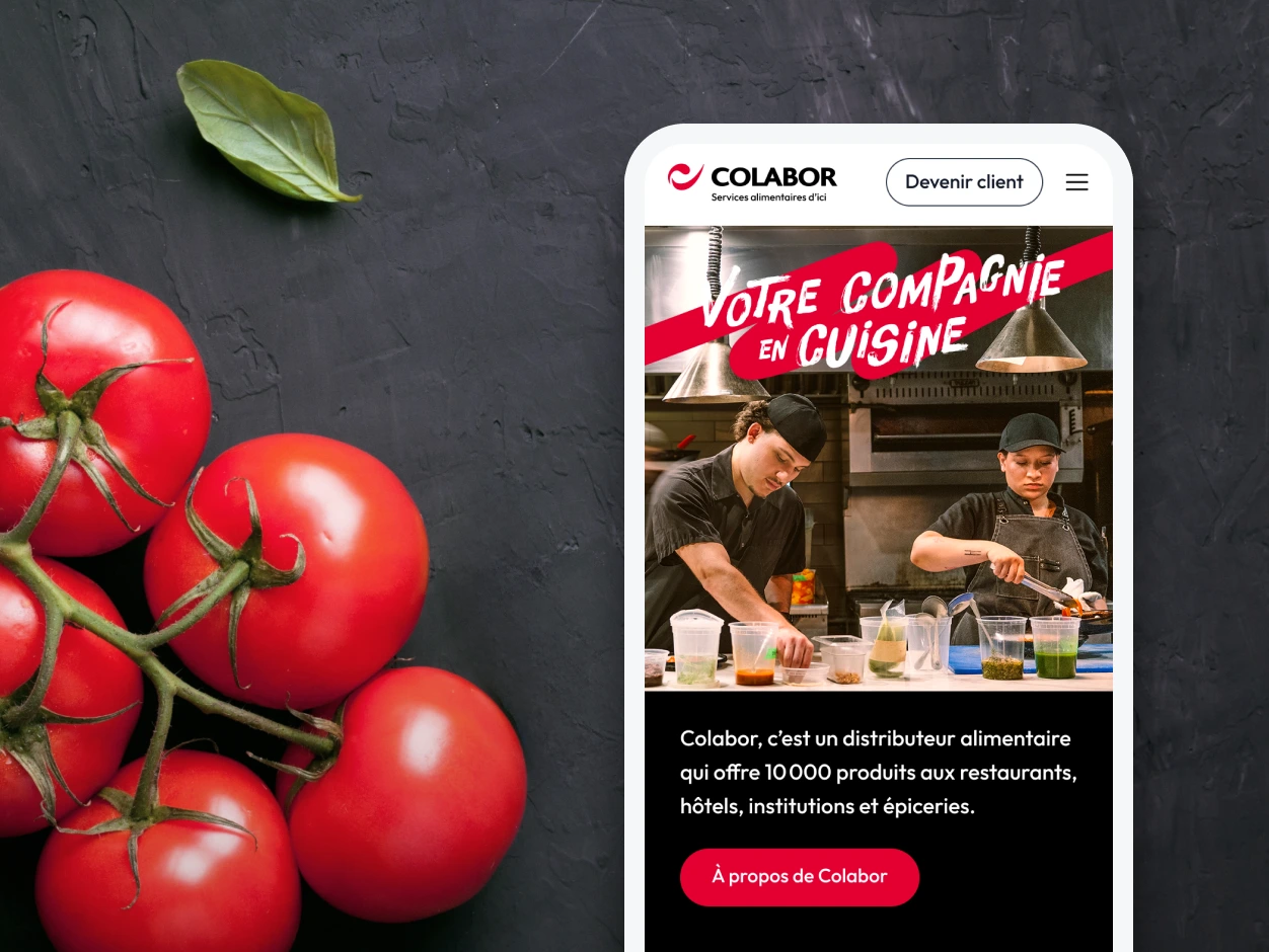 Projet de refonte du site web de l’entreprise de distribution alimentaire Colabor.